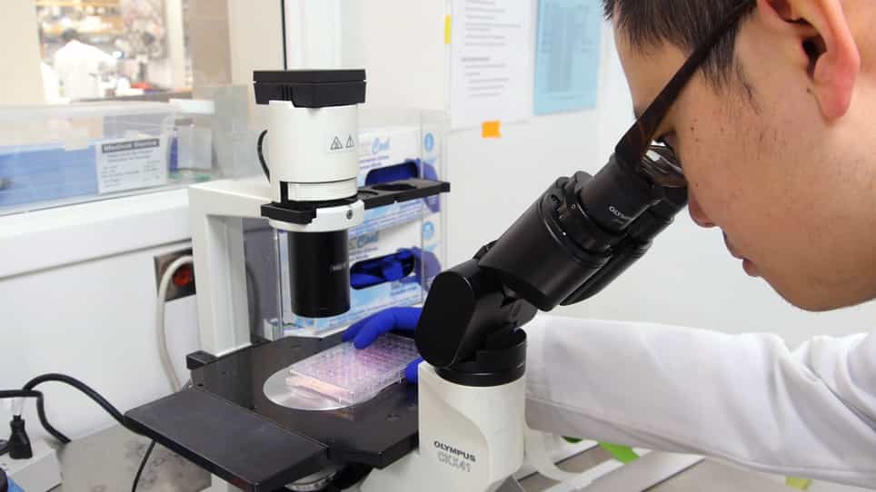 In Vitro Tumor Cell Rechallenge For Predictive Evaluation of Chimeric Antigen Receptor T Cell Antitumor Function