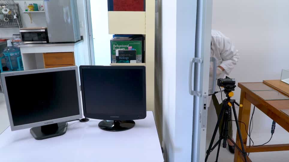 A Laboratory Method to Measure Contagious Yawning in Rats