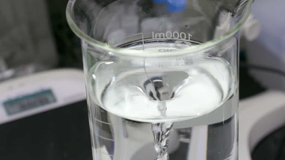 Purification of the Dendritic Filopodia-rich Fraction