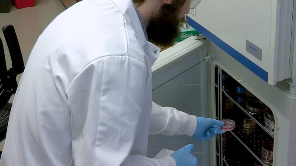 Studying Normal Tissue Radiation Effects using Extracellular Matrix Hydrogels