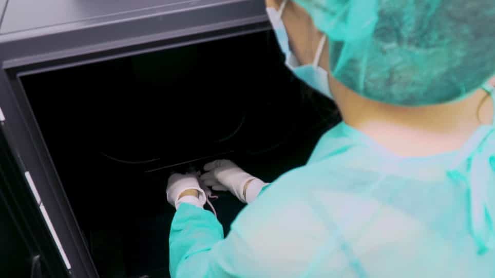 In Vivo Inhibition of MicroRNA to Decrease Tumor Growth in Mice