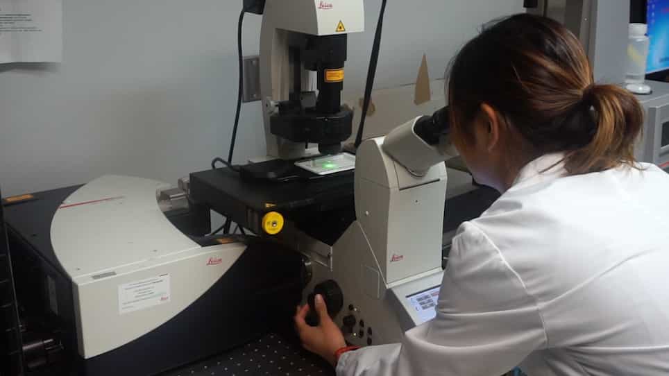 High Throughput Traction Force Microscopy Using PDMS Reveals Dose-Dependent Effects of Transforming Growth Factor-β on the Epithelial-to-Mesenchymal Transition