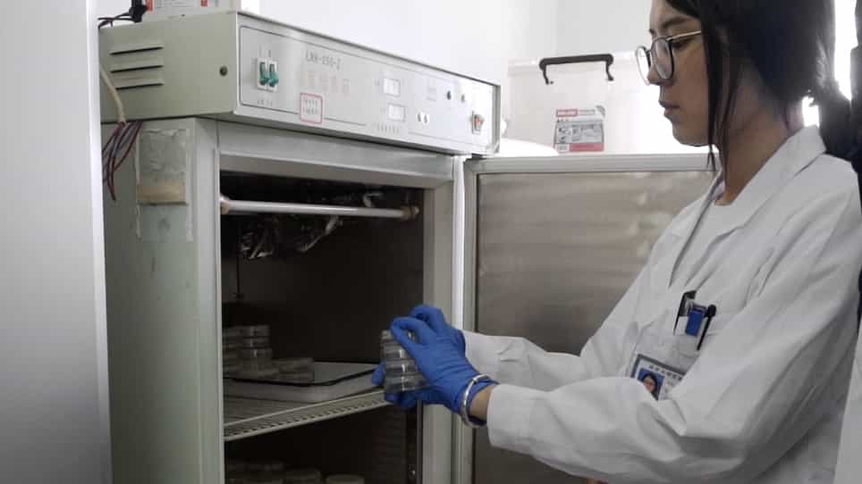 Using Caenorhabditis elegans for Studying Trans- and Multi-Generational Effects of Toxicants