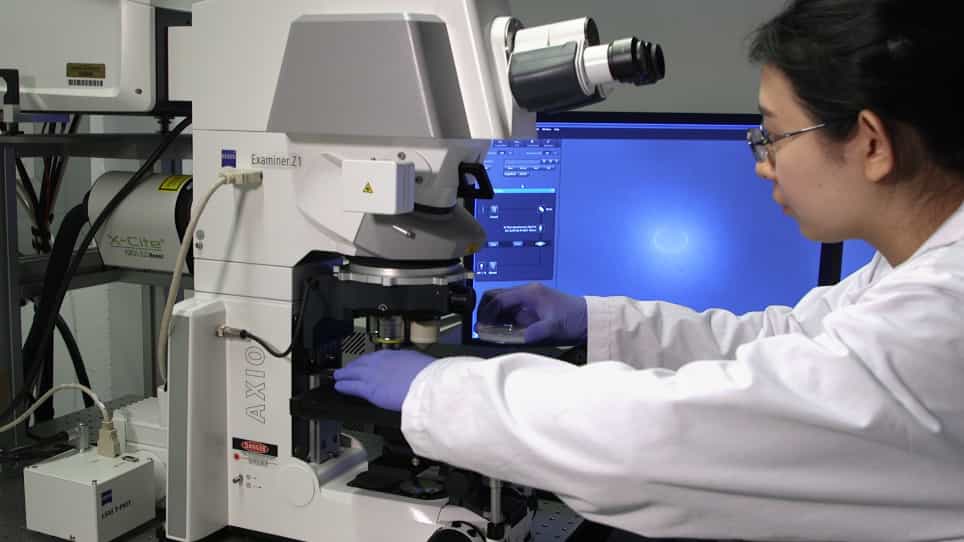 Confocal Live Imaging of Shoot Apical Meristems from Different Plant Species