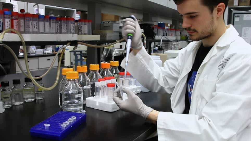 In Vitro Ubiquitination and Deubiquitination Assays of Nucleosomal Histones