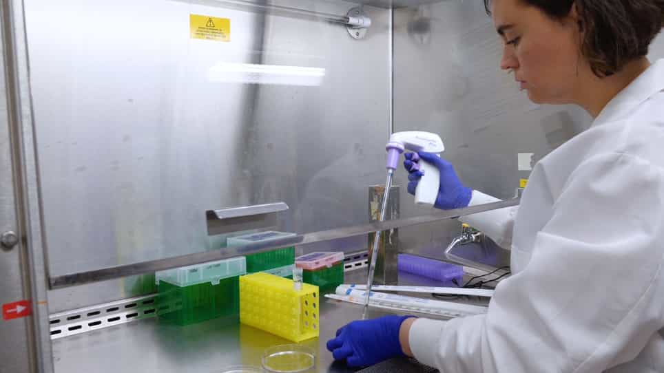 Visualization of Endogenous Mitophagy Complexes In Situ in Human Pancreatic Beta Cells Utilizing Proximity Ligation Assay