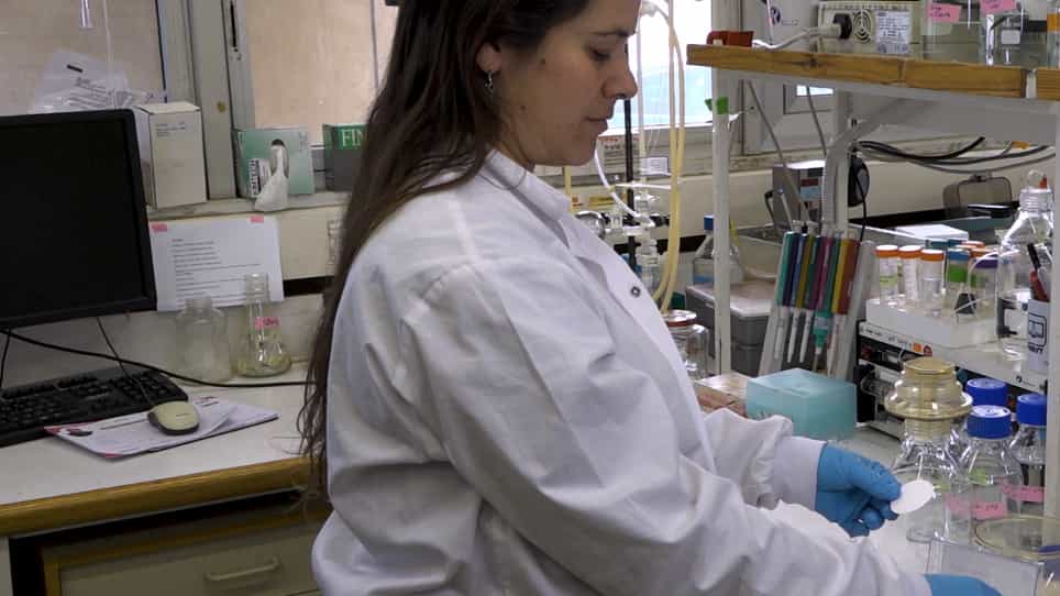 Ion Exchange Chromatography IEX Coupled to Multi-angle Light Scattering MALS for Protein Separation and Characterization
