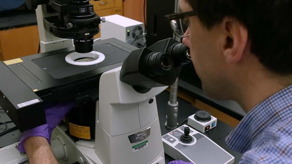 Performing Spectroscopy on Plasmonic Nanoparticles with Transmission-Based Nomarski-Type Differential Interference Contrast Microscopy
