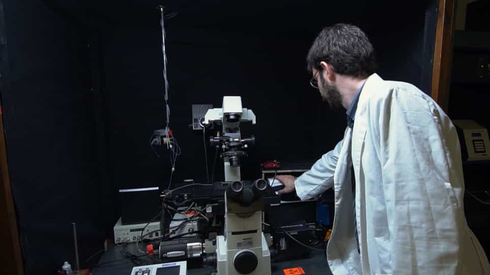 Excitation-Scanning Hyperspectral Imaging Microscopy to Efficiently Discriminate Fluorescence Signals