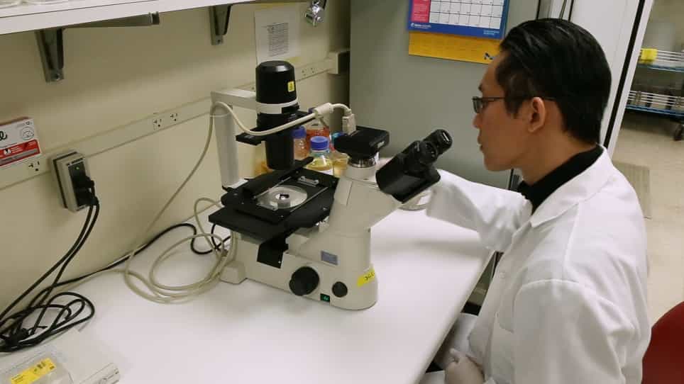 Thawing, Culturing, and Cryopreserving Drosophila Cell Lines
