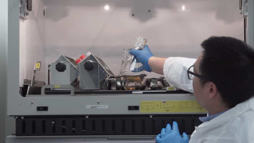 Three-dimensional Patterning of Engineered Biofilms with a Do-it-yourself Bioprinter