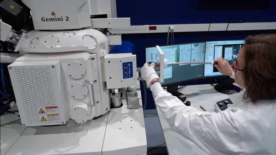 Targeted Studies Using Serial Block Face and Focused Ion Beam Scan Electron Microscopy