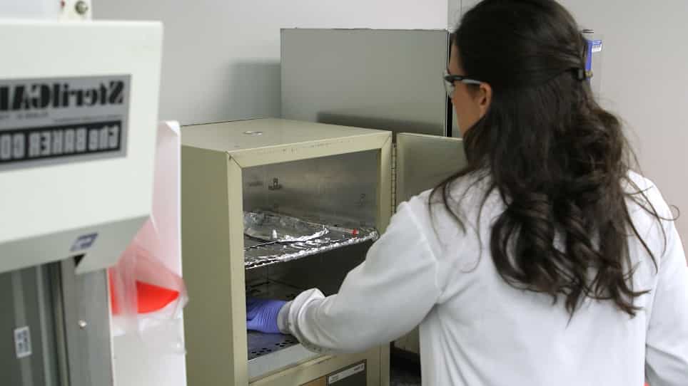 Capturing Small Molecule Communication Between Tissues and Cells Using Imaging Mass Spectrometry