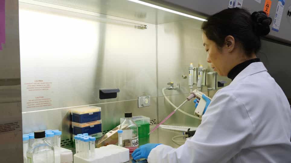 Use of a Linear Accelerator for Conducting In Vitro Radiobiology Experiments