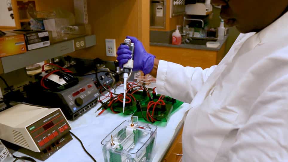 Atomic Absorbance Spectroscopy to Measure Intracellular Zinc Pools in Mammalian Cells