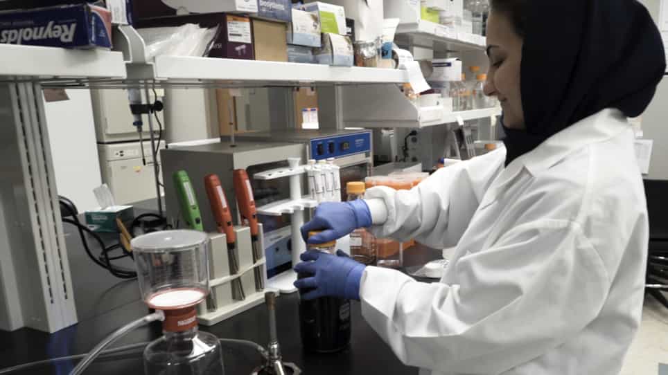 An In Vitro Batch-culture Model to Estimate the Effects of Interventional Regimens on Human Fecal Microbiota