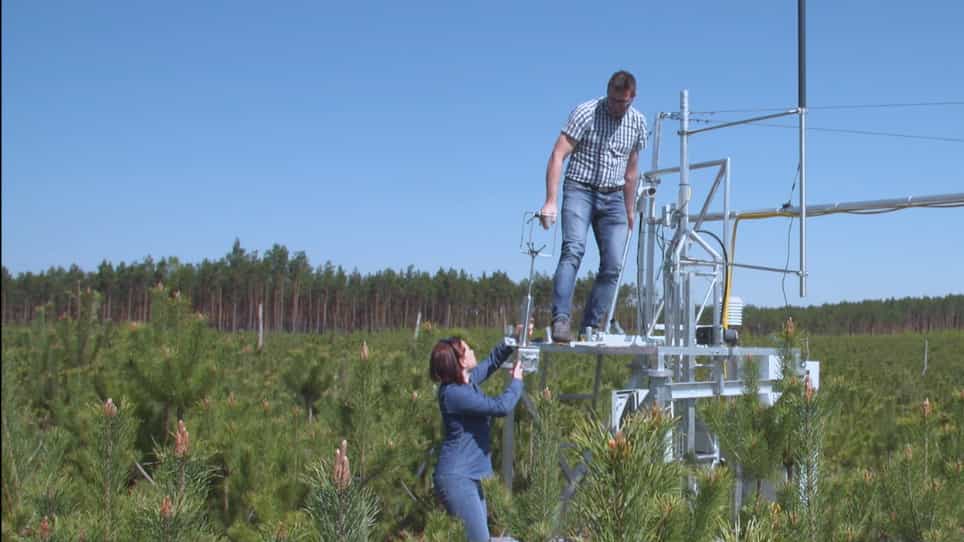 Measurements of CO2 Fluxes at Non-Ideal Eddy Covariance Sites