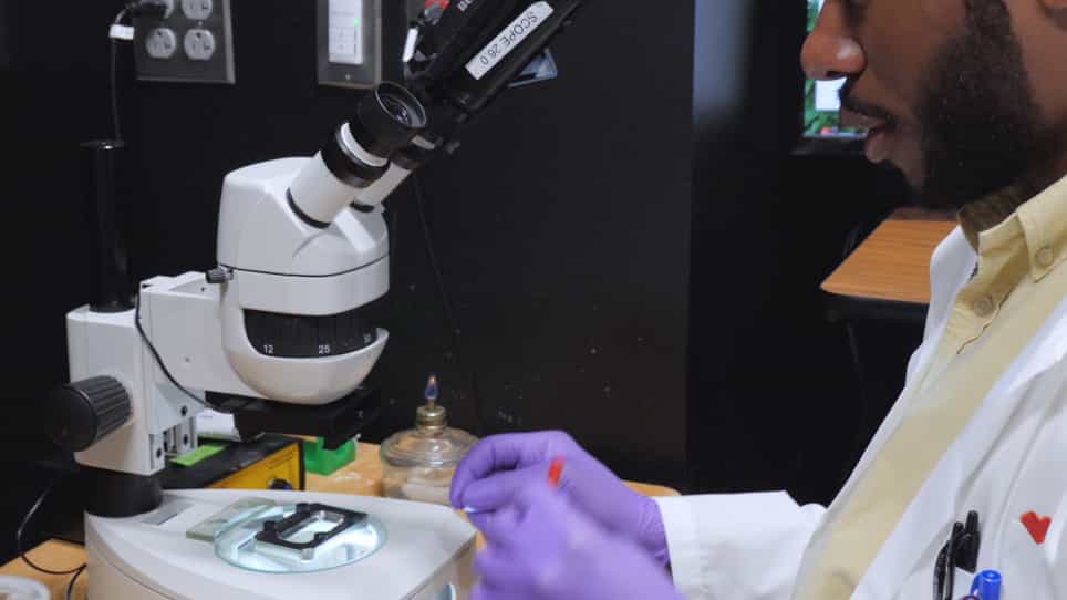 Isotropic Light-Sheet Microscopy and Automated Cell Lineage Analyses to Catalogue Caenorhabditis elegans Embryogenesis with Subcellular Resolution
