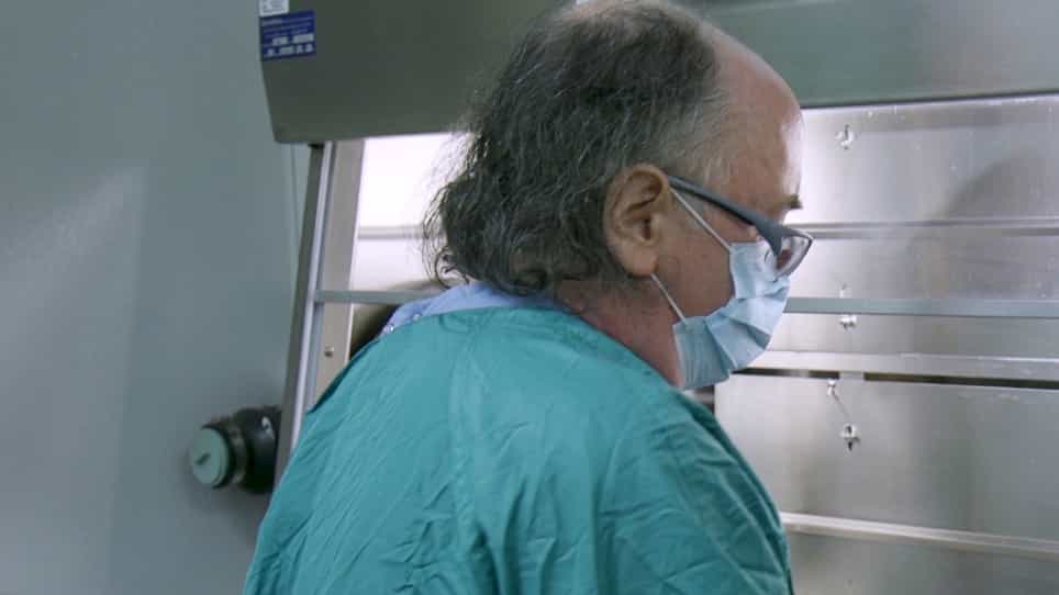 Rabies Necropsy Techniques in Large and Small Animals