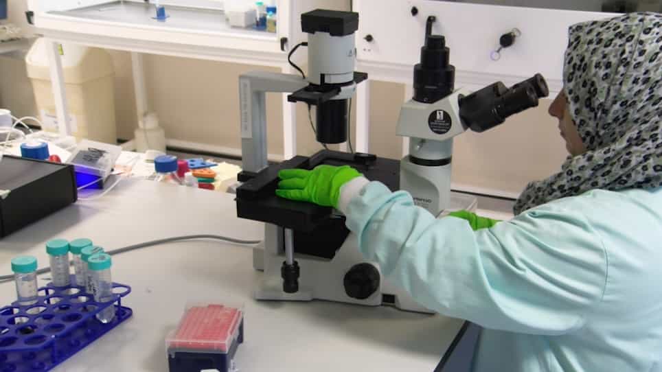Fabrication of Amyloid-β-Secreting Alginate Microbeads for Use in Modelling Alzheimer's Disease