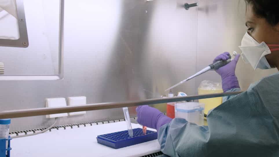 Studying Cryptosporidium Infection in 3D Tissue-derived Human Organoid Culture Systems by Microinjection