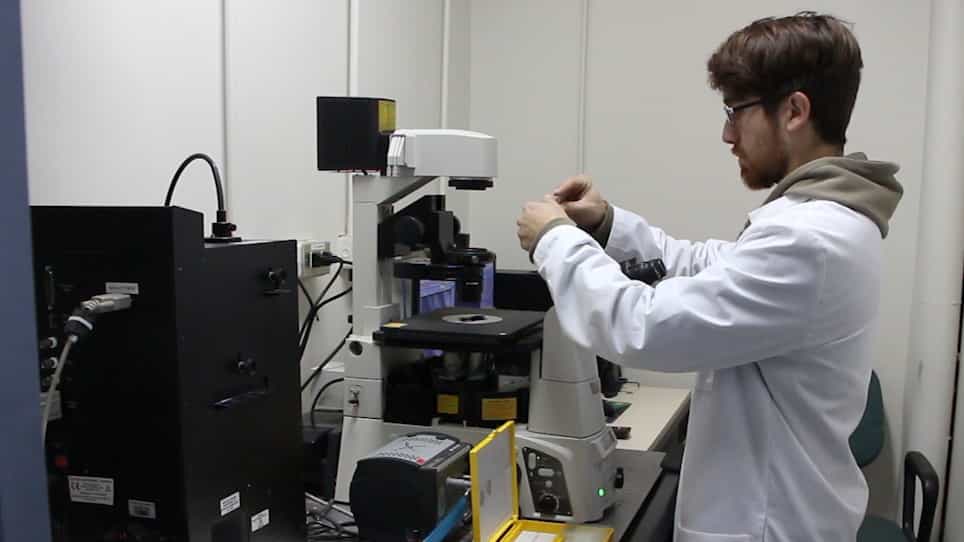 Studying Organelle Dynamics in B Cells During Immune Synapse Formation