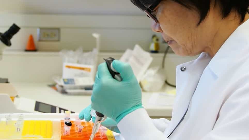 Translating Ribosome Affinity Purification TRAP for RNA Isolation from Endothelial Cells In Vivo