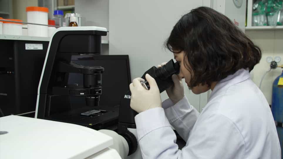 An In Vitro Protocol for Evaluating MicroRNA Levels, Functions, and Associated Target Genes in Tumor Cells