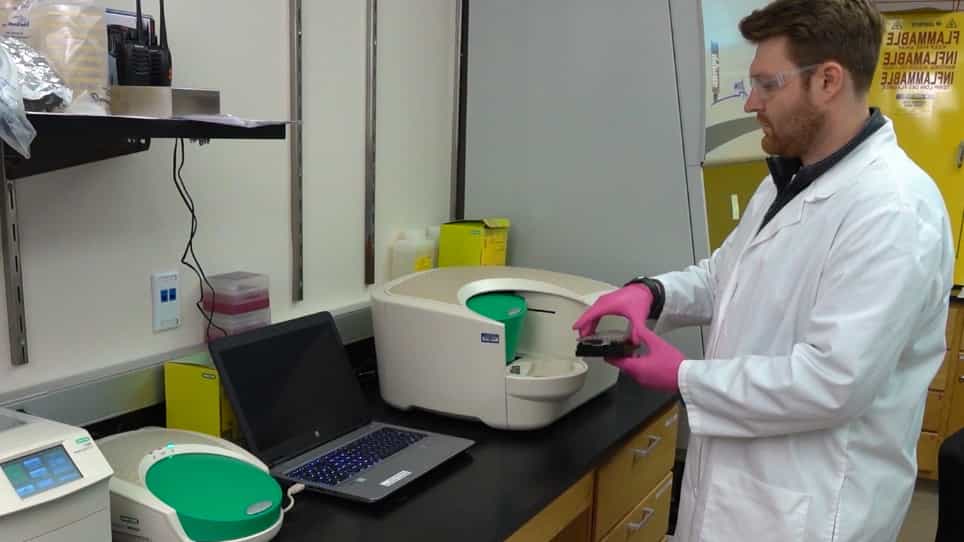 Digital PCR-based Competitive Index for High-throughput Analysis of Fitness in Salmonella