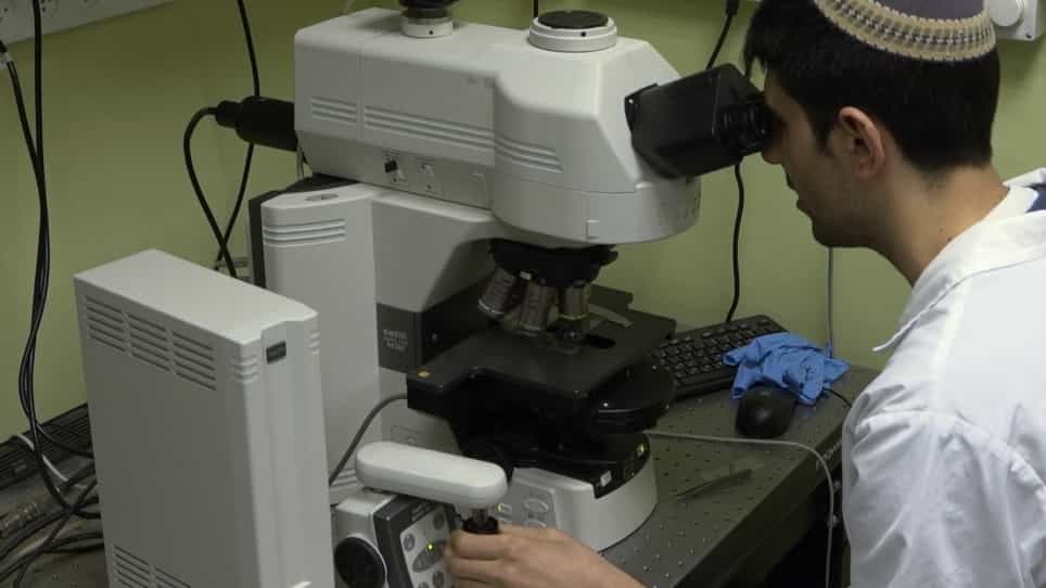 Calcium Carbonate Formation in the Presence of Biopolymeric Additives