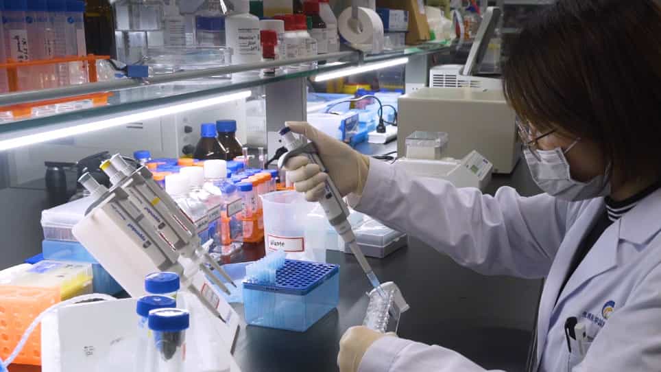 Enhanced Crosslinking Immunoprecipitation eCLIP Method for Efficient Identification of Protein-bound RNA in Mouse Testis