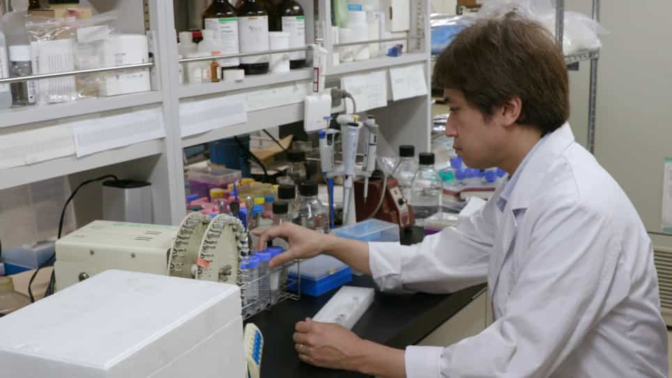 Evaluation of Protein–Protein Interactions using an On-Membrane Digestion Technique
