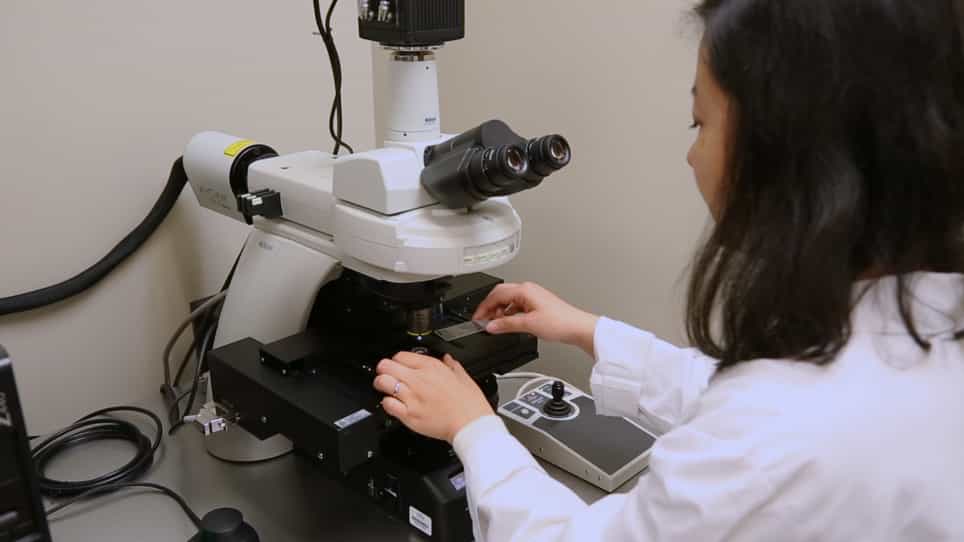 Measuring Sperm Guidance and Motility within the Caenorhabditis elegans Hermaphrodite Reproductive Tract