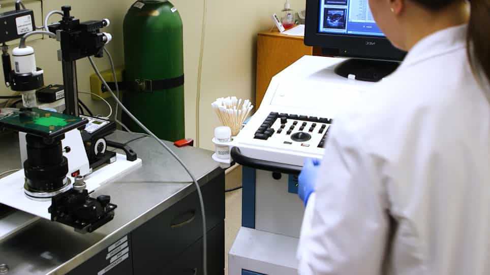 Ultrasonography of the Adult Male Urinary Tract for Urinary Functional Testing