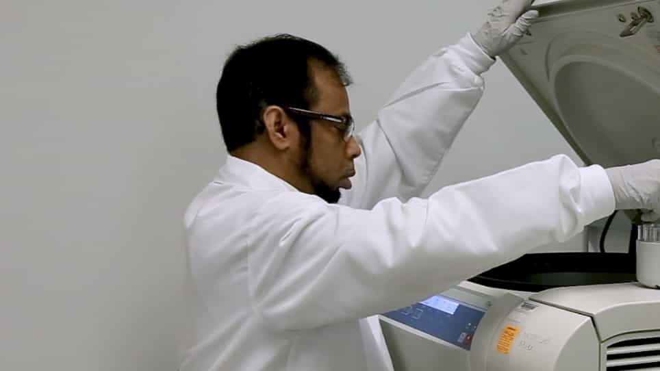 Purification of Platelets from Mouse Blood