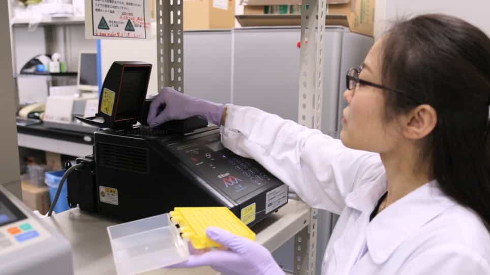 Purification of a High Molecular Mass Protein in Streptococcus mutans