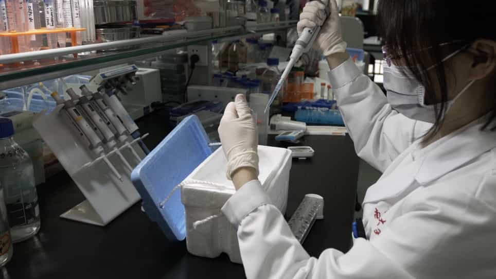 In Vitro Biochemical Assays using Biotin Labels to Study Protein-Nucleic Acid Interactions