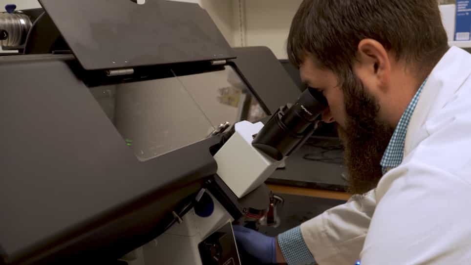 Live-Cell Fluorescence Microscopy to Investigate Subcellular Protein Localization and Cell Morphology Changes in Bacteria