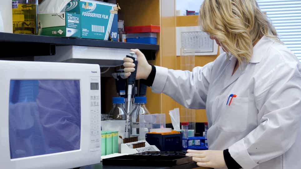 Optimization, Design and Avoiding Pitfalls in Manual Multiplex Fluorescent Immunohistochemistry