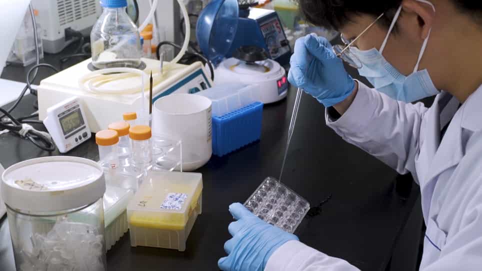 The Detection of 5-Hydroxymethylcytosine in Neural Stem Cells and Brains of Mice