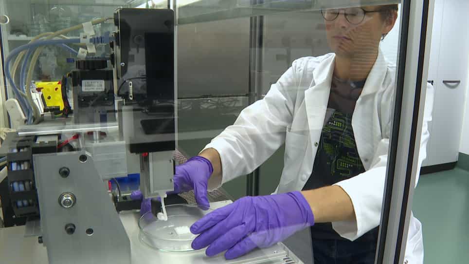 Core/shell Printing Scaffolds For Tissue Engineering Of Tubular Structures