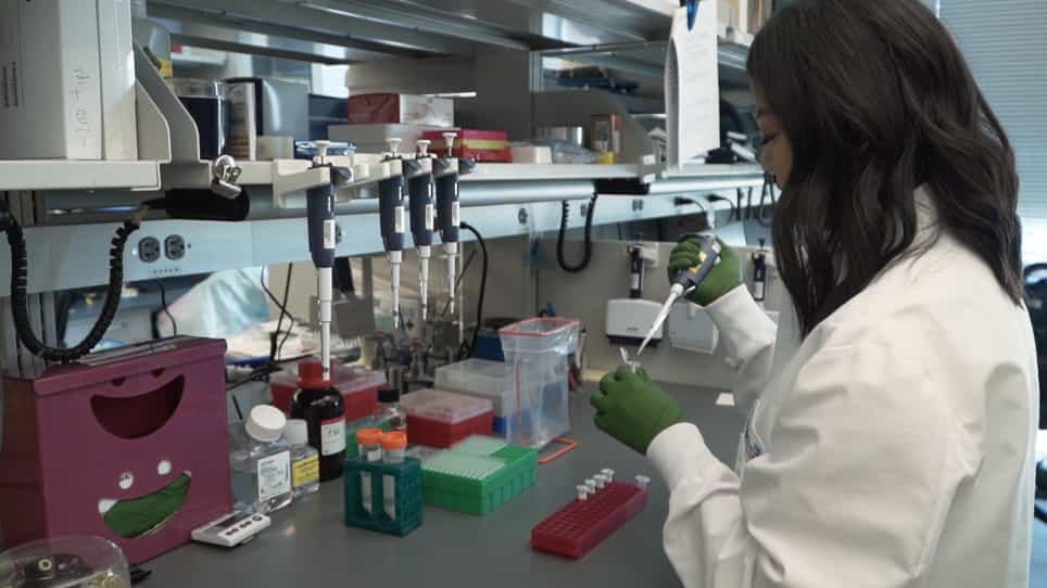 Identification of Circular RNAs using RNA Sequencing