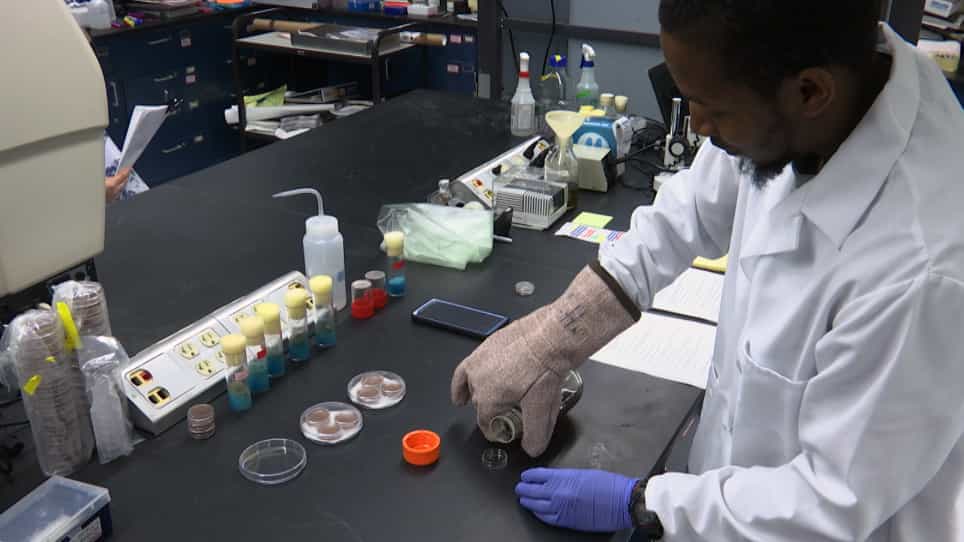 A Direct and Simple Method to Assess Drosophila melanogaster's Viability from Embryo to Adult