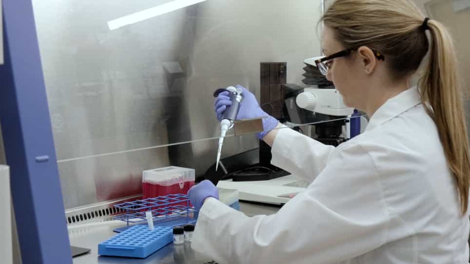 Using Human Induced Pluripotent Stem Cells for the Generation of Tumor Antigen-specific T Cells