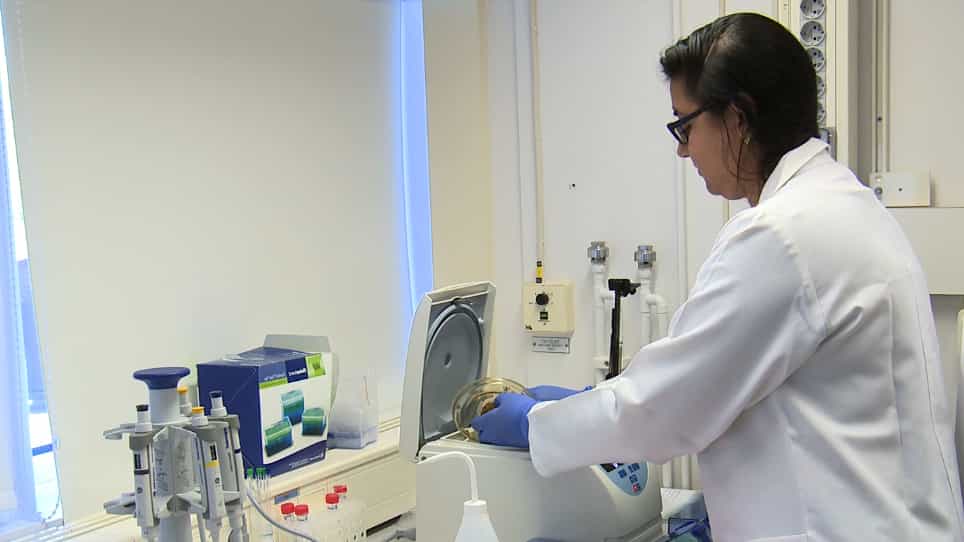 Kinetic Screening of Nuclease Activity using Nucleic Acid Probes