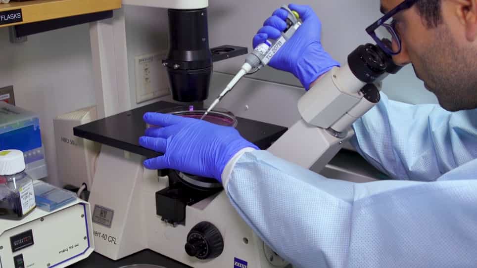 A Method to Study de novo Formation of Chromatin Domains