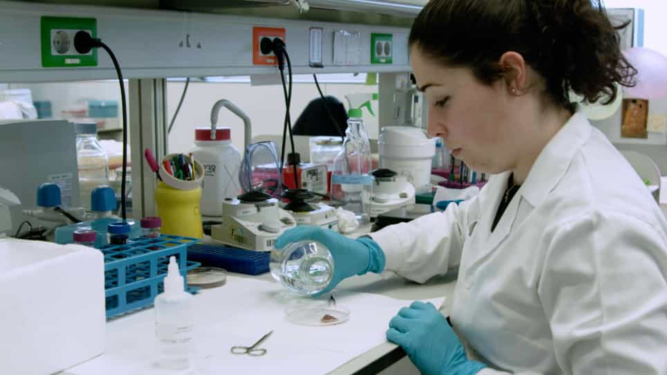 A High-Throughput In Situ Method for Estimation of Hepatocyte Nuclear Ploidy in Mice