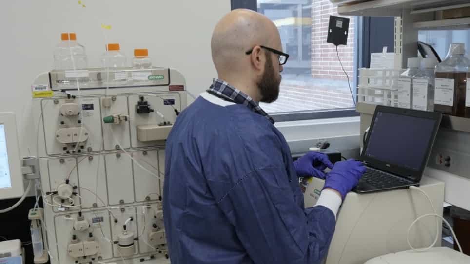 Production of E. coli-expressed Self-Assembling Protein Nanoparticles for Vaccines Requiring Trimeric Epitope Presentation