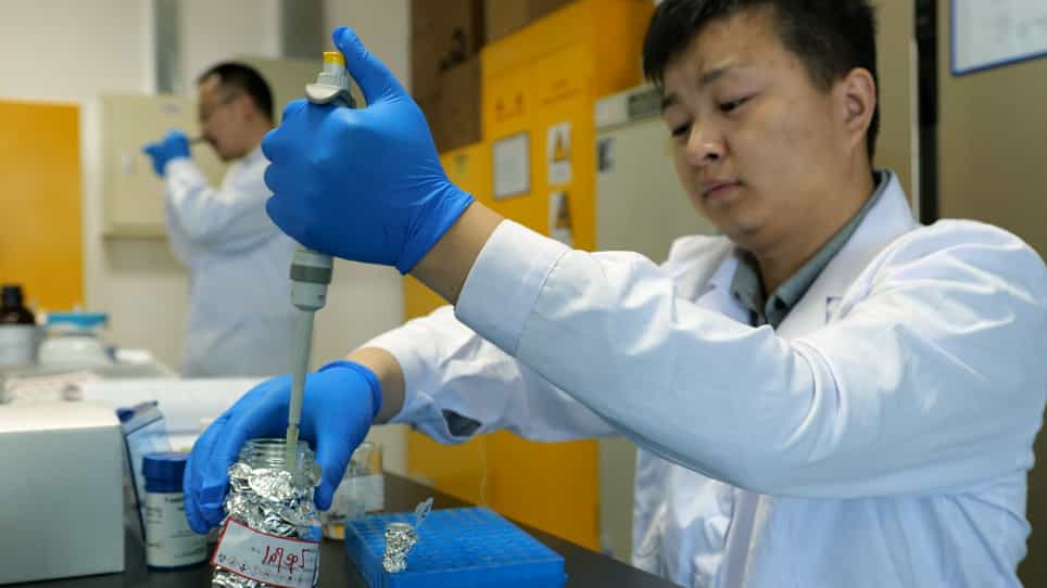 Immunoglobulin G N-Glycan Analysis by Ultra-Performance Liquid Chromatography