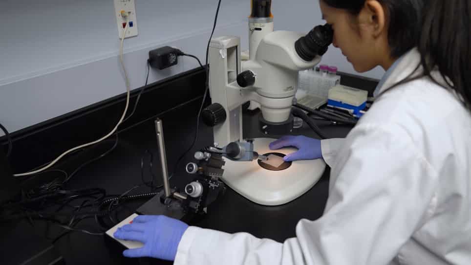 Microinjection of DNA into Eyebuds in Xenopus laevis Embryos and Imaging of GFP Expressing Optic Axonal Arbors in Intact, Living Xenopus Tadpoles